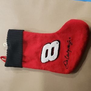 Dale Earnhardt Jr. Christmas stocking